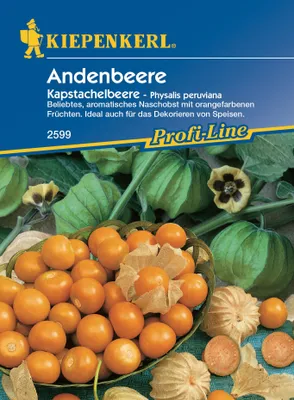 Produktbild von [STREICHUNG 2026] Andenbeere Kapstachelbeere | Andenbeerensamen von Kiepenkerl