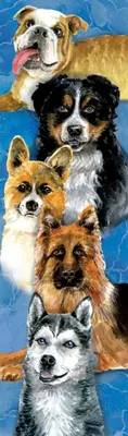 Produktbild von Hunde. Doppelseitiges Lesezeichen