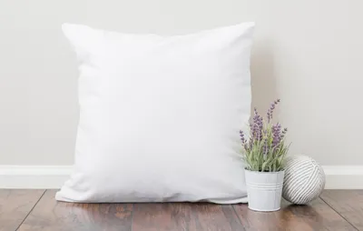 Image de Oreiller Coton percale Ferme - 65 x 65 - 3988