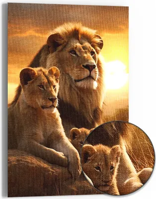 Produktbild von DEQOART Hybrid Leinwand Bild 60x90 cm 'Savannenfamilie' Wandbild Glas flach modern
