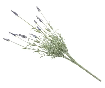 Produktbild von Kunstblume "Lavendelzweig", Kunststoff, Grün, Höhe 47 cm