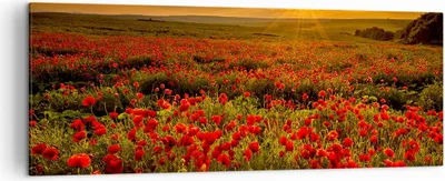 Produktbild von Bild auf Leinwand - Leinwandbild - Mohn Blume Wiese - 140x50cm - Wand Bild - Wanddeko - Wandbilder - Leinwanddruck - Bilder - Kunstdruck - Wanddekoration - Leinwand bilder - Wandkunst - AB140x50-3643