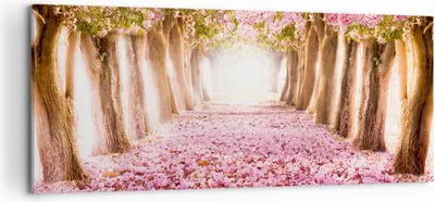 Produktbild von Bild auf Leinwand - Leinwandbild - Baum Blumen Kirsche Natur - 120x50cm - Wand Bild - Wanddeko - Leinwanddruck - Bilder - Kunstdruck - Wanddekoration - Leinwand bilder - Wandkunst - AB120x50-2794