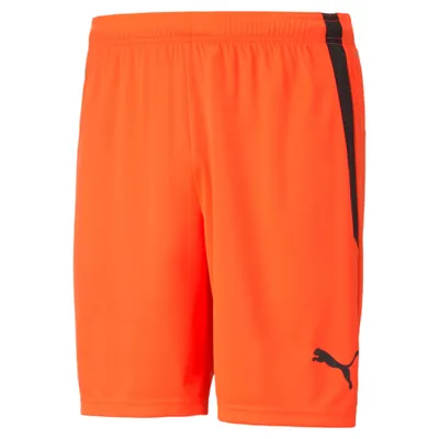 Obrázek produktu pro Kalhoty Puma TeamLiga 70492445