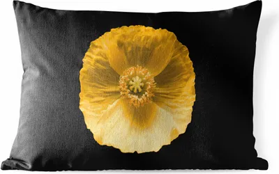 Produktbild von MuchoWow® Outdoor Kissen - Blumen - Mohn - Gelb - 60x40 cm - Wetterfest - Lounge Kissen - Zierkissen - Kissen für Innenräume