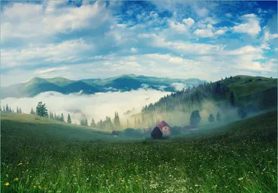 Produktbild von Wallario Fototapete Vliestapete, seidenmatte Oberfläche, einfache Verarbeitung, Größe 300 x 210 cm, Motiv Morgennebel zwischen Berghängen