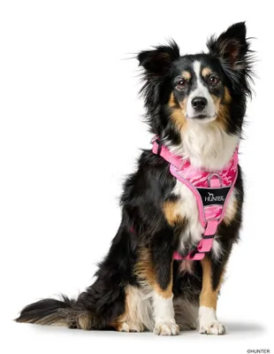 Produktbild von HUNTER Geschirr Divo Camouflage L-XL, rosa