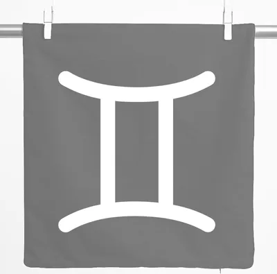 Produktbild von Huuraa Kissenbezug Zwillinge Sternzeichen Zeichen 40x40cm Steel Grey Baumwolle Dekokissenbezug Geschenkidee