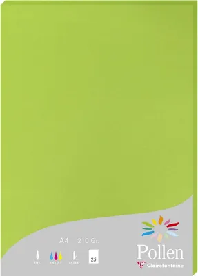 Produktbild von Clairefontaine Papier A4 210g minze 25Bl