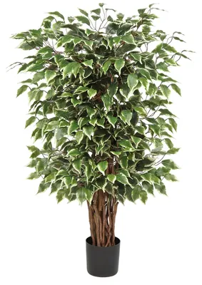 Productafbeelding van Grote kunstplant, benjamini-ficus, kunstboom, kamerplantdecoratie met een echte houten stam, geschikt voor kantoor, slaapkamer, eetkamer, zowel binnen- als buitendecoratie, 91 cm