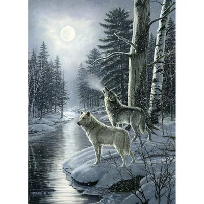 Zdjęcie produktu dla Cobble Hill Wolves by Moonlight, 1000 szt.