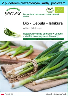 Zdjęcie produktu dla SAFLAX - Zestaw prezentowy - Bio - Cebula - Ishikura - 150 Nasiona - Z pudełkiem upominkowym, etykietą wysyłkową, kartą podarunkową i podłożem uprawowym - Allium fistulosum
