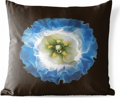 Produktbild von MuchoWow® Outdoor Kissen - Eine Nahaufnahme einer blauen Blume auf schwarzem Hintergrund - 40x40 cm - Wetterfest - Lounge Kissen - Kopfkissen - Interieur - Polster mit Bild