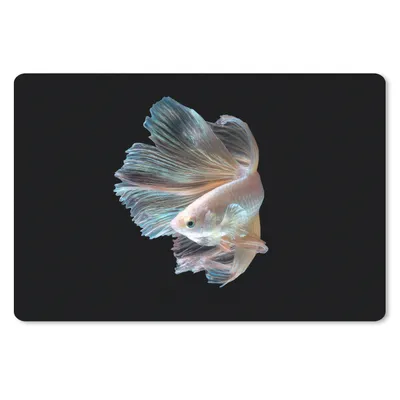 Produktbild von MuchoWow® Schreibtischunterlage Fisch - Schwanz - Schwarz 60x40 cm - XXL Mauspad - Großes Mauspad