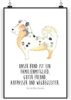 Produktbild von Mr. & Mrs. Panda Bild Hund Australien Shepherd DIN A4 - Weiß - Geschenk, Familie, Kunstdruck, Spruch, Plakat, Sprüche, drucke, Wandbild, wanddeko