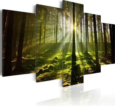 Produktbild von Leinwandbilder Waldlandschaft 200x100 cm Vlies Leinwandbild 5 tlg Kunstdruck modern Wandbilder XXL Wanddekoration Design Wand Bild - Natur Sonne Bäume 030213-34