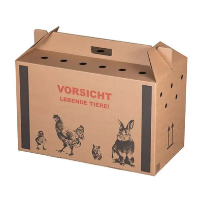 Produktbild von 10x Transportkarton für Kleintiere 580x310x370mm mit Tragegriff Luftlöchern und Automatikboden - Größe L