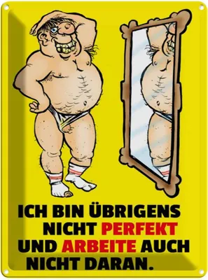 Produktbild von vianmo Blechschild 40x30 cm Ich bin übrigens nicht perfekt Spruch Zitat