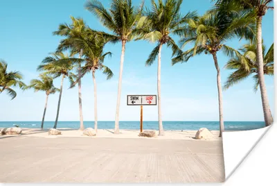 Produktbild von MuchoWow® Poster Palme - Strand - Sommer 90x60 cm - Schlafzimmer