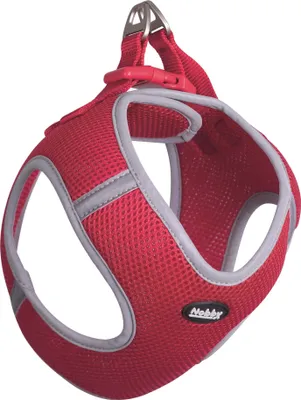 Produktbild von Nobby Mesh Geschirr Delight rot, Größe: S / Breite: 15 mm