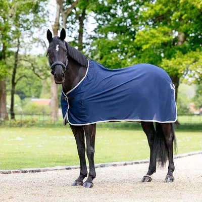 Image de LeMieux Scrim - Taille 206 - Bleu