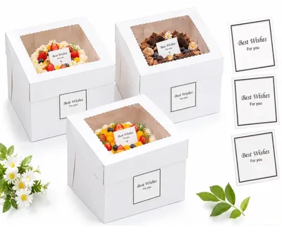 Kuchen-Transportbox, quadratisch, 31x31x3 cm, 1 Stück