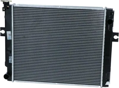 Imagen del producto de NRF 50008: Radiador, radiador de agua, radiador de motor