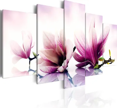 Produktbild von Modernes Wandbild b-A-0070-b-p (100x50) - 5 Teilig Bilder Fotografie auf Vlies Leinwand Foto Bild Dekoration Wand Bilder Kunstdruck BLUMEN MAGNOLIEN NATUR