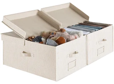 Obrázok produktu pre Omgoods – Veľké úložné boxy s vekom a priehradkami