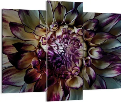 Produktbild von Bild auf Leinwand - Leinwandbild - 3 Teile - Blätter Agave Blume - 130x100cm - Wand Bild - Wanddeko - Wandbilder - Leinwanddruck - Bilder - Wanddekoration - Leinwand bilder - Wandbild - CB130x100-5122