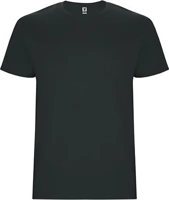 Produktbild von Roly CA6681 | Stafford T-Shirt - Doppellagiger Rundhalskragen - Farbe: Dark Lead 46 - Größe: L