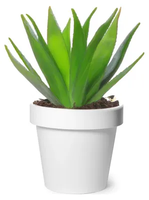 Produktbild von Mega Collections Pflanztopf/Blumentopf - Kunststoff - weis - 25 cm