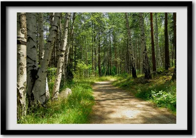 Produktbild von Bild - Bilder - Bilderrahmen - 70 cm x 50 cm - MDF-Rahmen, Wandkunst Der Weg in den Wald