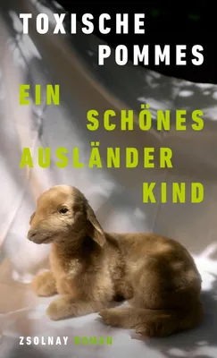 Produktbild von Ein schönes Ausländerkind