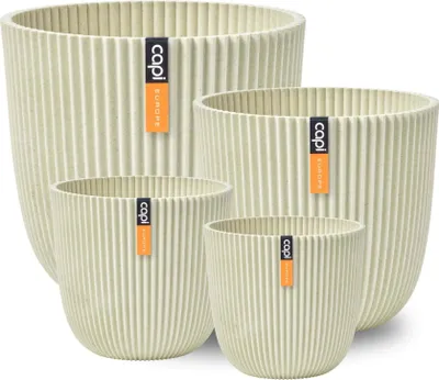 Image de Capi Europe - Set cadeau boule de pot Groove 'made with' - Sciure de bois beige - Set L