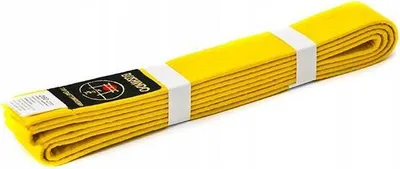 Produktbild von BUSHINDO Kimono Gürtel Karate Judo Aikido Größe: 300