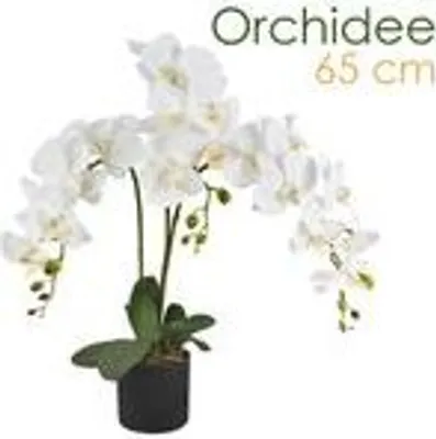 Produktbild von Umelé kvety Orchidea Orchidea Rastliny Umelé rastliny Umelé kvety Umelé rastliny Biela biela s kvetináčom dekorácie 65 cm Decovego