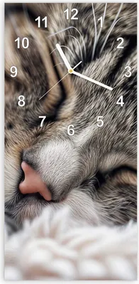 Produktbild von Wanduhr aus Glas mit Motiv Schlafende Katze- 30 x 60 cm - inkl. Aufhängesystem