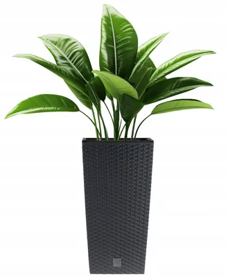 Produktbild von Prosperplast Blumentopf | Rato Square | Anthrazit | 32,5 cm