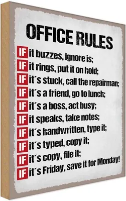 Produktbild von vianmo Holzschild 18x12 cm Office rules it buzzes ignore is Spruch Zitat