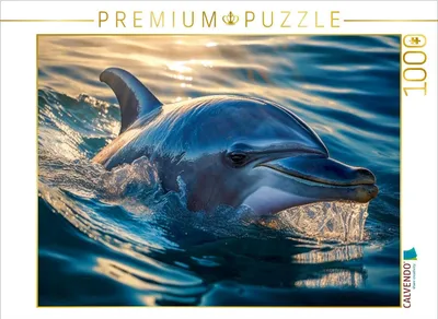 Produktbild von CALVENDO Puzzle Ist noch jemand hier | 1000 Teile Lege-Größe 64x48cm Foto-Puzzle für glückliche Stunden