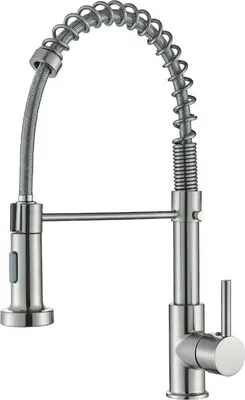 A stainless steel kitchen faucet with a pull-down sprayer and a coiled hose.