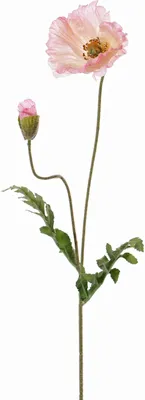 Produktbild von artplants.de Künstliche Blume Mohnblume LIENTJE, rosa, 65cm, Ø 12cm