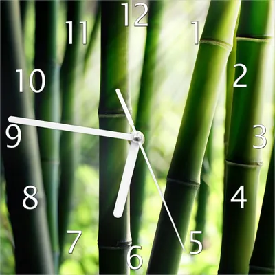 Produktbild von Wallario Design Wanduhr Bambuswald und Sonnenstrahlen aus Echtglas, Größe 20 x 20 cm