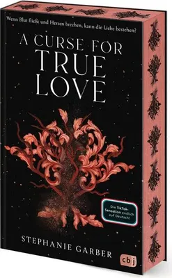 A book cover with a decorative design and text.