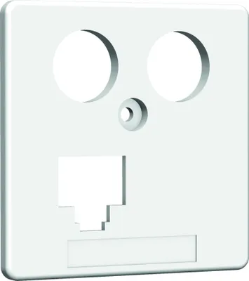 Immagine prodotto di Piastra centrale HOMEWAY EKKS rw 8/8 RJ45 (LAN10GbE)