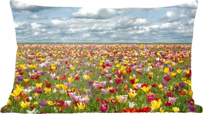 Produktbild von MuchoWow® Zierkissen Sofakissen Wohnzimmer Dekokissen 60x40 cm Tulpen - Farben - Wolken - Kopfkissen - Polster mit Foto