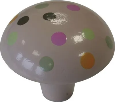 Produktbild von Kinder-Möbelknopf Holz Punkte/bunt ØxH 50/44 mm