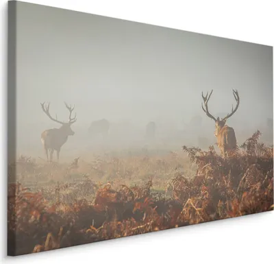 Produktbild von Fabelhaftes Canvas LEINWAND BILDER 120x80 cm XXL Kunstdruck Hirsch Wild Nebel