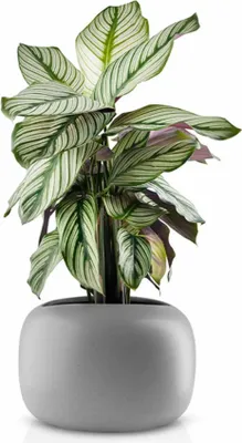 Produktbild von Eva Solo Stone Blumentopf - Ø 19 cm - Keramik